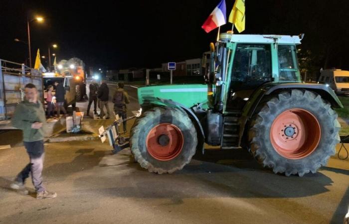 Agricultural crisis in Gironde: 50 Rural Coordination tractors mobilized between Créon and Bordeaux