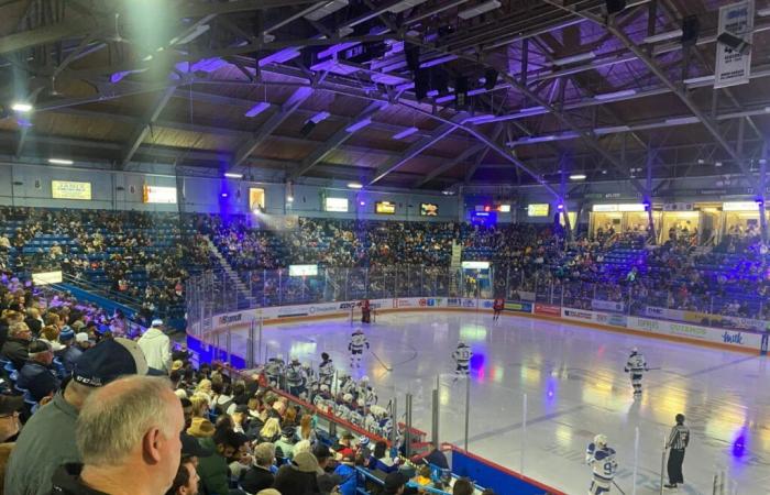 French takes his place with the Sudbury Wolves