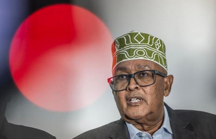 Opponent Abdirahman Mohamed Abdullahi, known as “Irro”, elected president of Somaliland