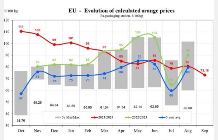 Orange prices in the EU fell by 9.24% in September