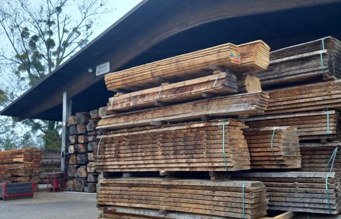 Swore. Wood industry in the Jura: how to prepare for the future in the face of climate change? | Jura: all the local information