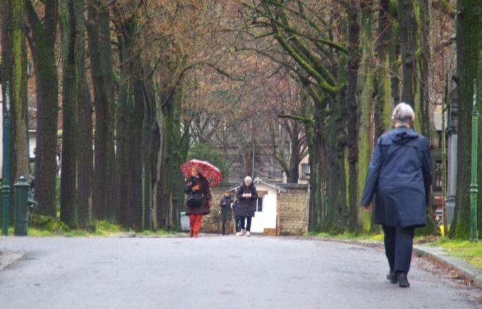 Paris: parks and cemeteries closed this Tuesday due to bad weather