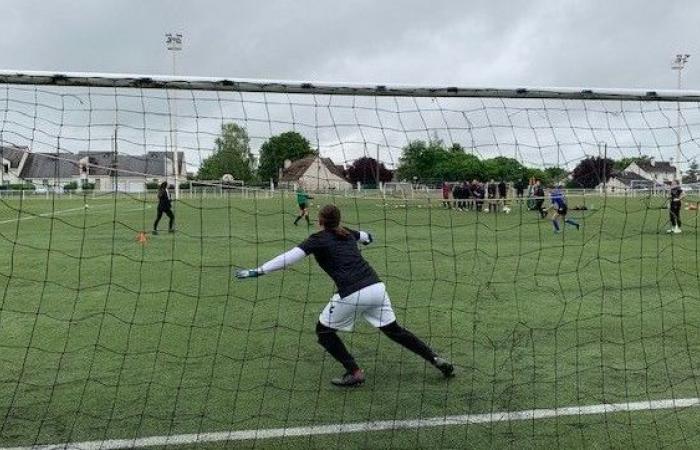 Women’s football: a Toulouse team files a complaint for racist and sexist insults during a match