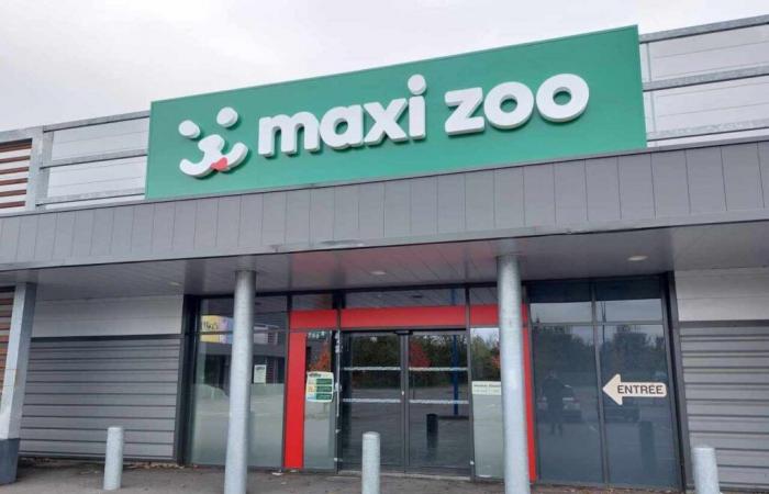 Maxi Zoo and Cuisinella open in this town