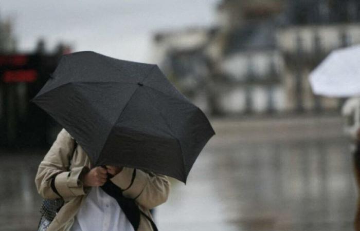 Météo France launches a double alert for violent winds and rain-flooding in Loir-et-Cher