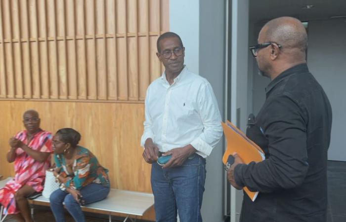 Guadeloupe MP Max Mathiasin sentenced to 12 months in prison