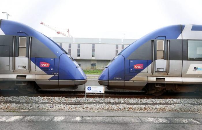 disrupted traffic on certain TER and TGV trains, forecasts for Thursday, November 21