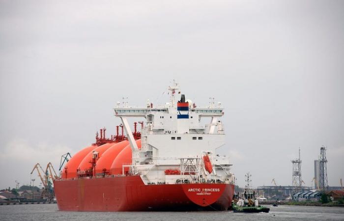 Competition for LNG could “increase sharply” | Montel News