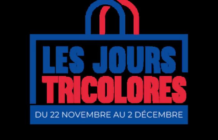 Against Black Friday, tricolor days – Image