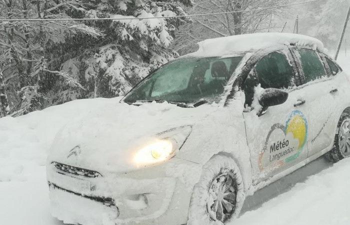 Snowfall in Cévennes, Lozère and Ardèche this Thursday