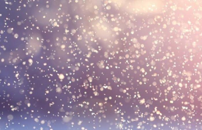 Weather: faced with falling temperatures, which departments should prepare for the first snowfall? : News