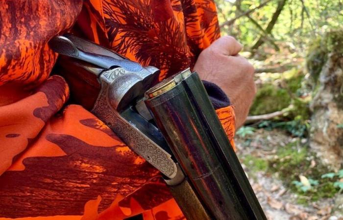 Hunting accident in Dordogne: the shooter sentenced to eight months in prison