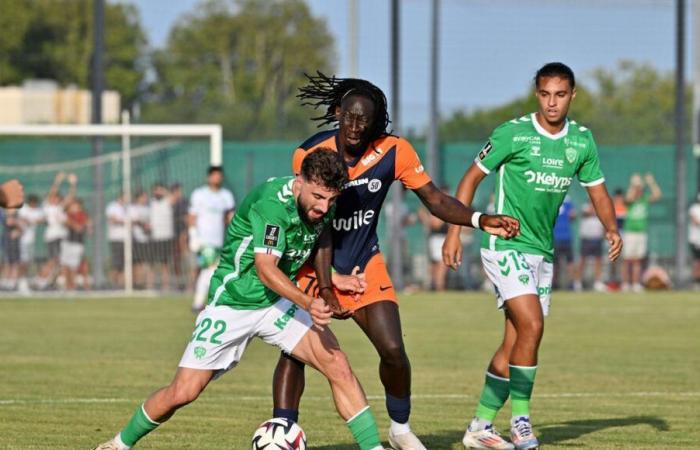 ASSE-MHSC: only 300 Hérault supporters authorized on Saturday at the Geoffroy-Guichard stadium in Saint-Étienne