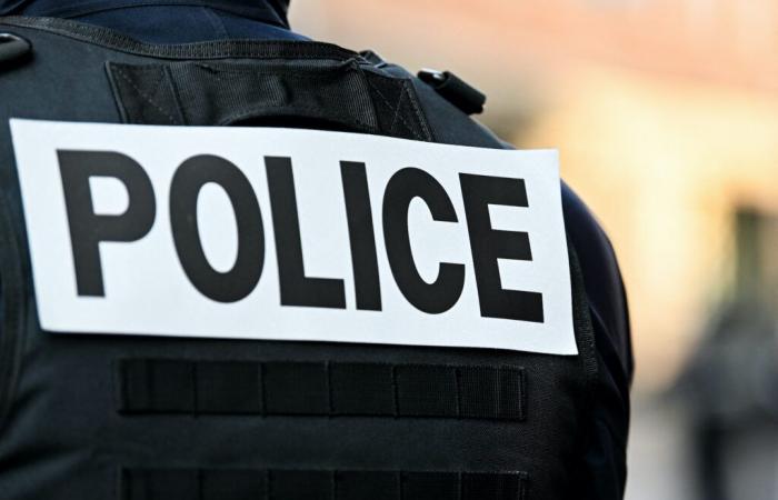 a municipal police officer threatened by a man armed with a knife in Mée-sur-Seine