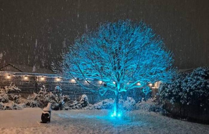 Heavy snowfall hits Wrexham – schools closed and power cuts