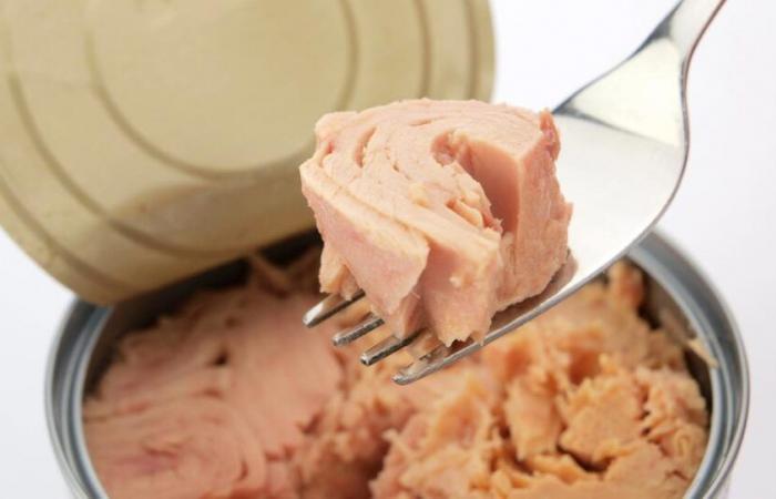 Tuna sold in Switzerland is also contaminated with mercury – rts.ch