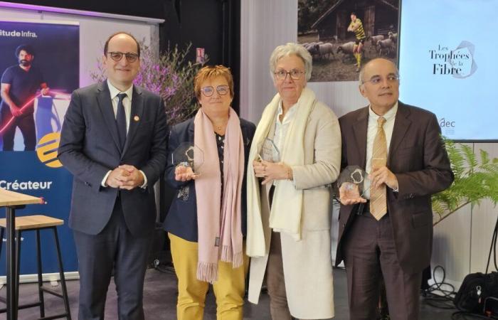 The 2024 Fiber Trophies celebrate the digital growth of Landes – Landes Info