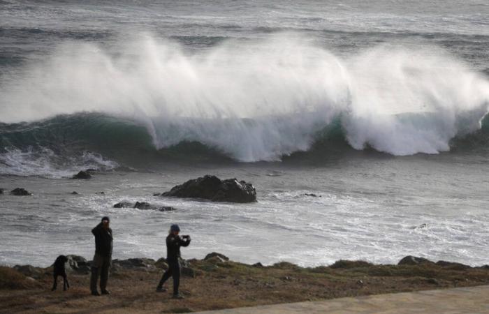 Violent wind: peaks of 200km/h expected in Corsica, here is what to expect in the Var and the Alpes-Maritimes