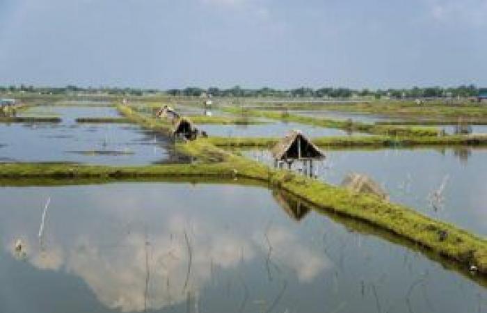 What is the impact of sustainable aquaculture on the environment?