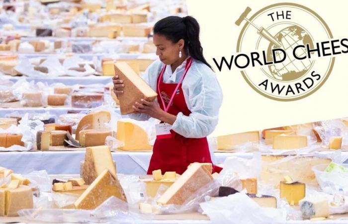 Here are the best cheeses in the world, and there are Swiss