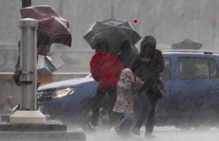 rains and winds sweep Paris, images of the flooded streets of the capital