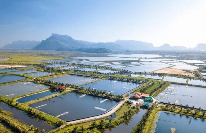 What is the impact of sustainable aquaculture on the environment?