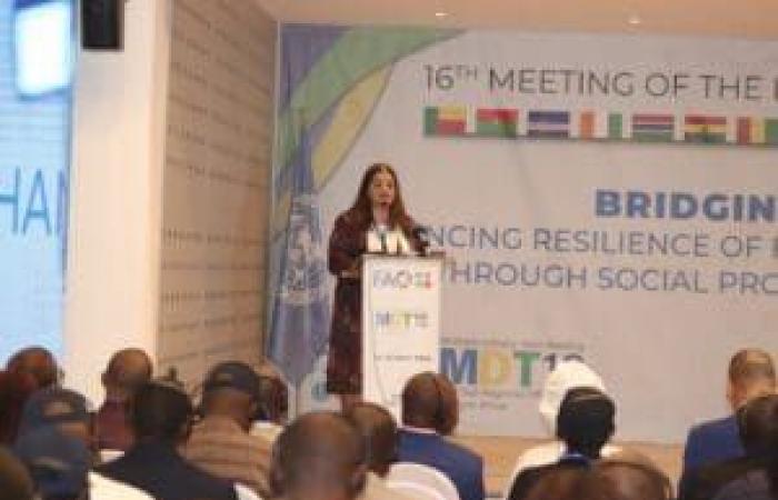 The 16th FAO multidisciplinary meeting opens in Cabo Verde | APAnews