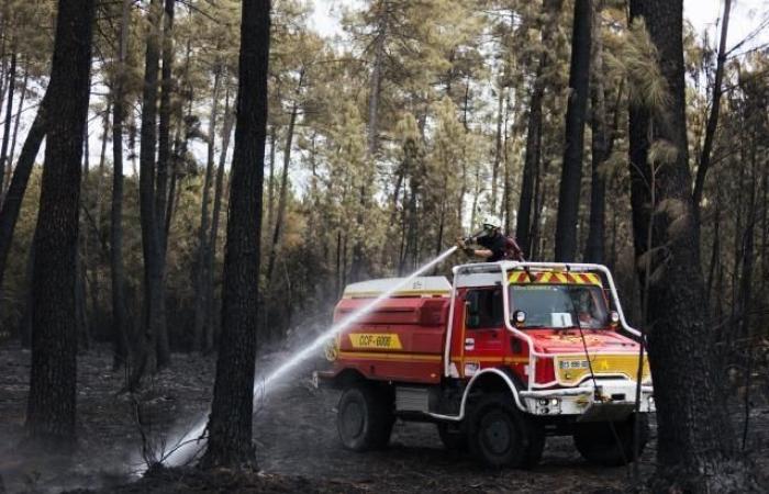 The year 2023 is among the five years most affected by forest fires in Europe, according to a Commission report