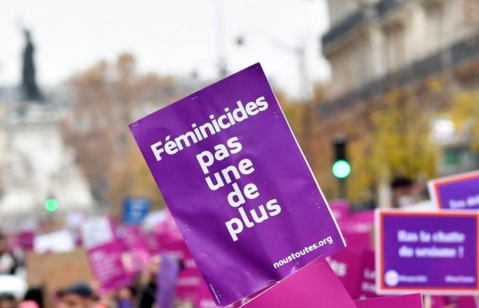 Three victims of domestic feminicide, or attempted feminicide, per day in France