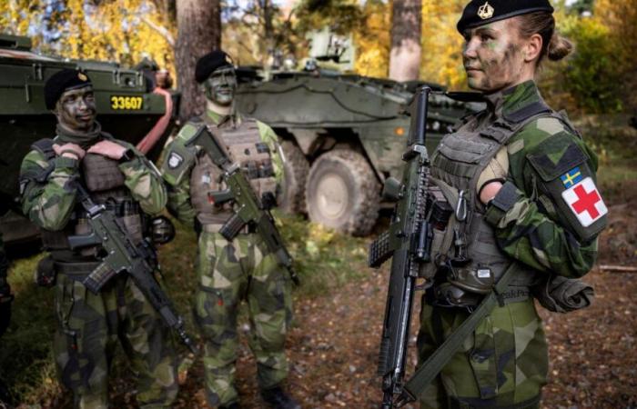 “The situation is serious”: Sweden and Finland encourage their residents to prepare for possible war