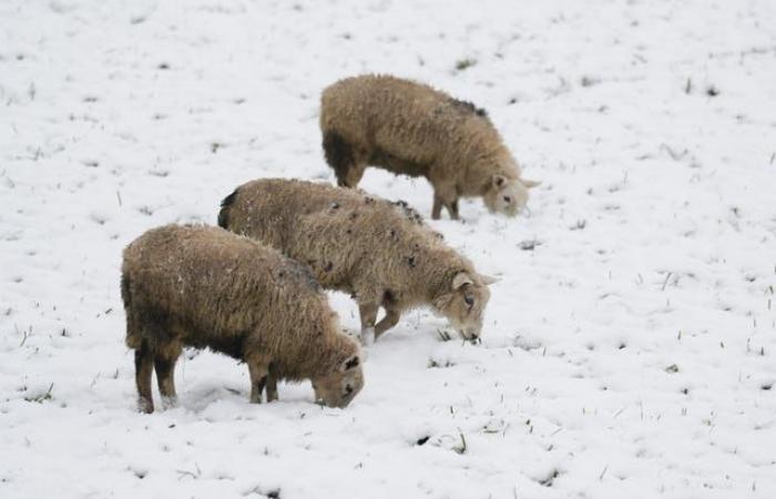 In Pictures: UK shivers as snowy weather sweeps in