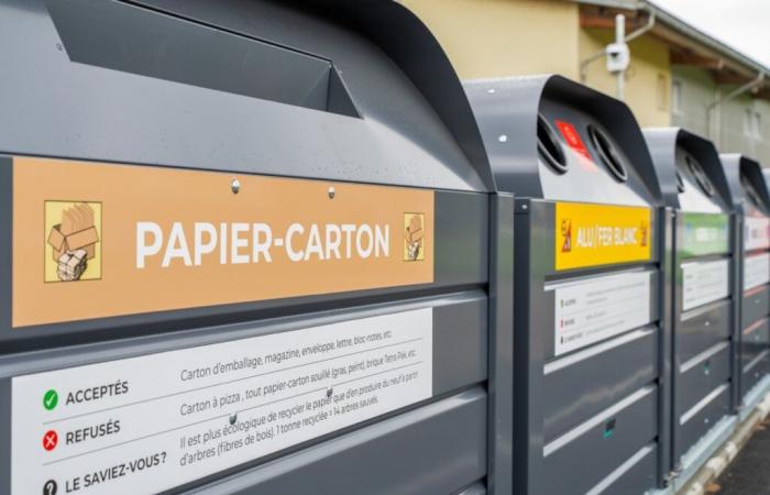 A fine of 610 francs for boxes placed next to a full skip in Courfaivre