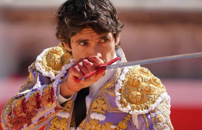 Bullfighting in France: what could be the next battles of the anti-bullfighting and defenders?