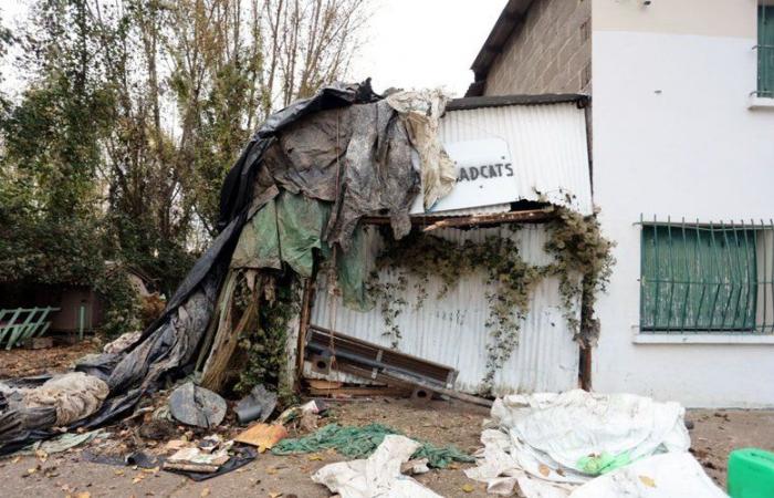 “These degradations go beyond a red line”: the France Nature Environnement premises still targeted in Montauban