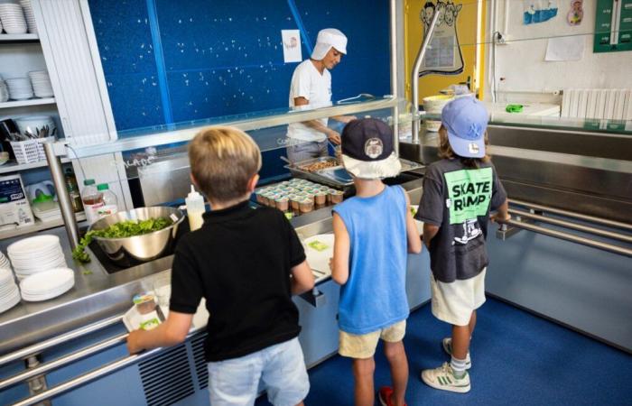 One in five children do not eat three meals a day in France