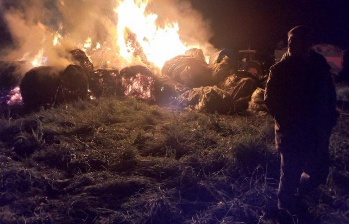 Anger of farmers: the Mercosur ratification project sets Montauban ablaze