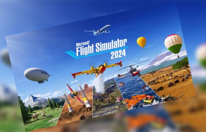 four things you might not know about this flight simulation video game