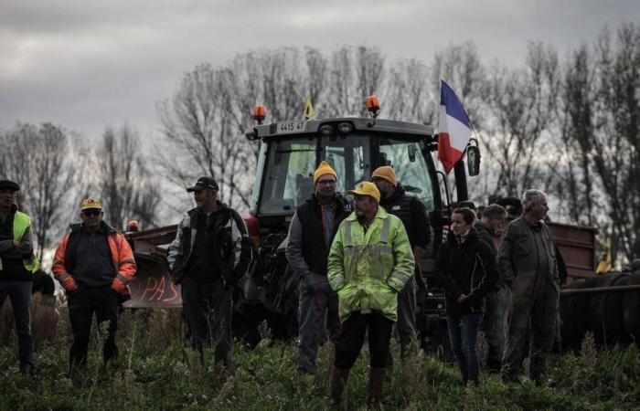 Under pressure from its farmers, France leads the revolt against free trade with Mercosur countries