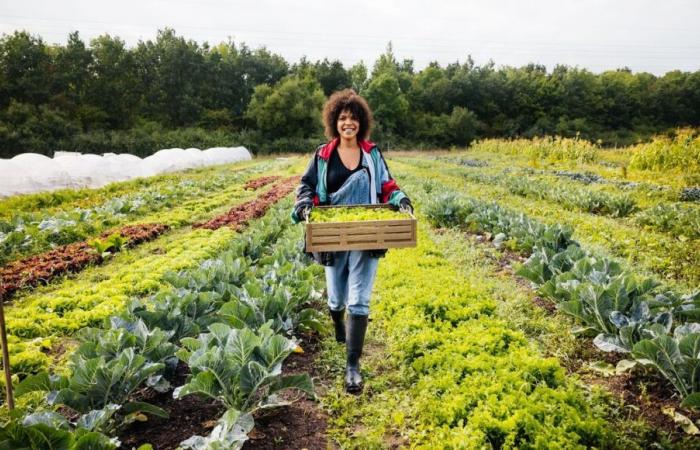 The Dordogne Chamber of Agriculture offers farm takeover offers