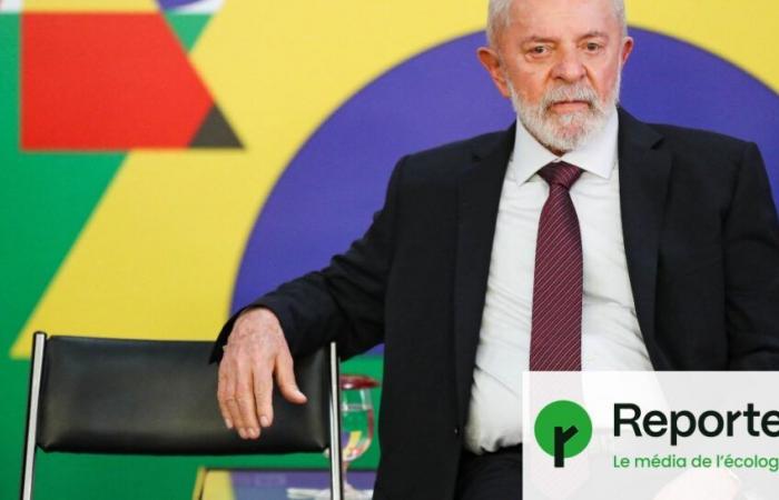 In Brazil, despite his ecological promises, Lula promotes oil and deforestation