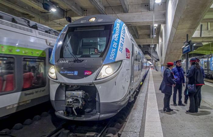 Transilien traffic disrupted this Thursday, RER B and D particularly affected