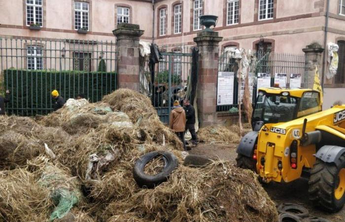 VIDEO. Anger of farmers: immersed in the column of tractors which converged on Rodez to “redecorate” the prefecture