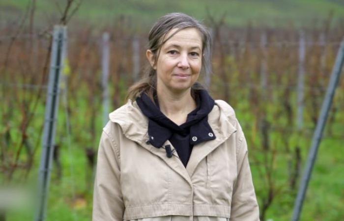 Ève Maurice new president of Vins de Moselle