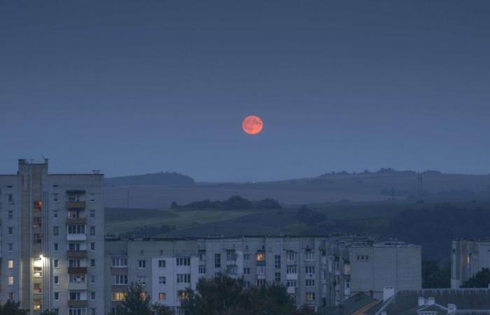 for the 1,000 days of war in Ukraine, the doubts of the inhabitants of Lviv