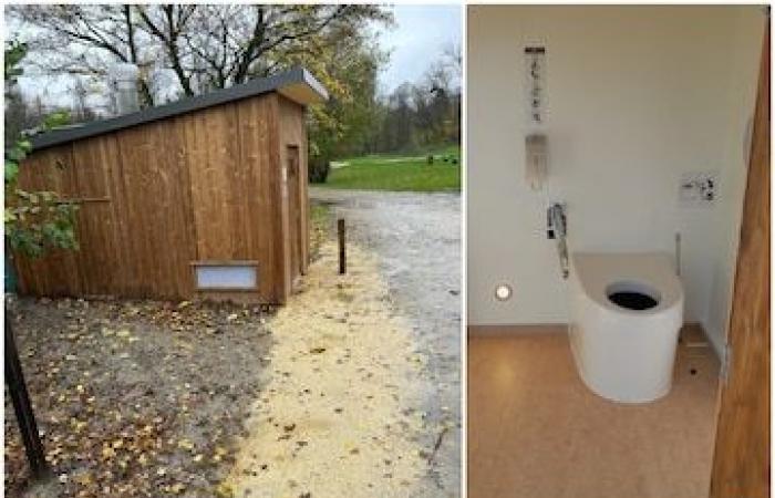 “We are the only species to shit in drinking water”: the PooPeeDo association is campaigning to generalize dry toilets in Brussels and Belgium