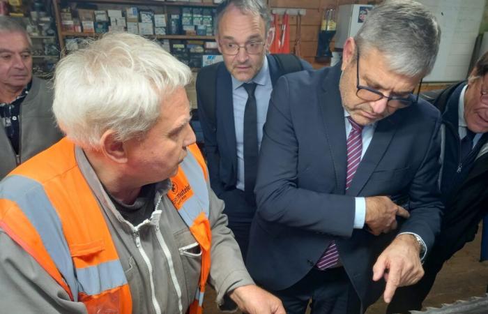 Swore. Wood industry in the Jura: how to prepare for the future in the face of climate change? | Jura: all the local information