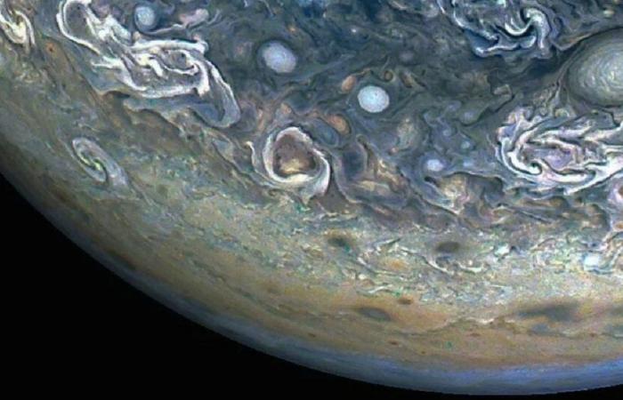 Worthy of a science fiction film: NASA's Juno probe captures the image of a dolphin on the surface of Jupiter