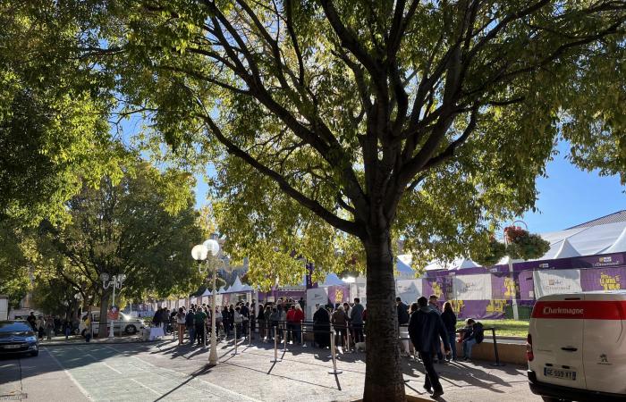 Toulon: literary festivities soon in the square