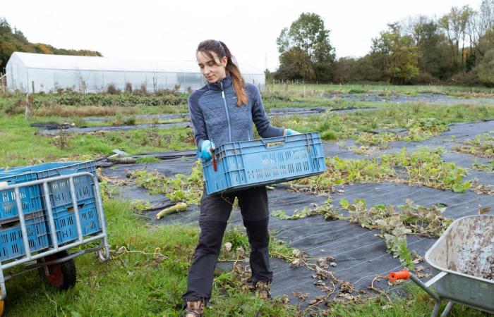 To strengthen peasant agriculture, Belgian volunteers take over the fields