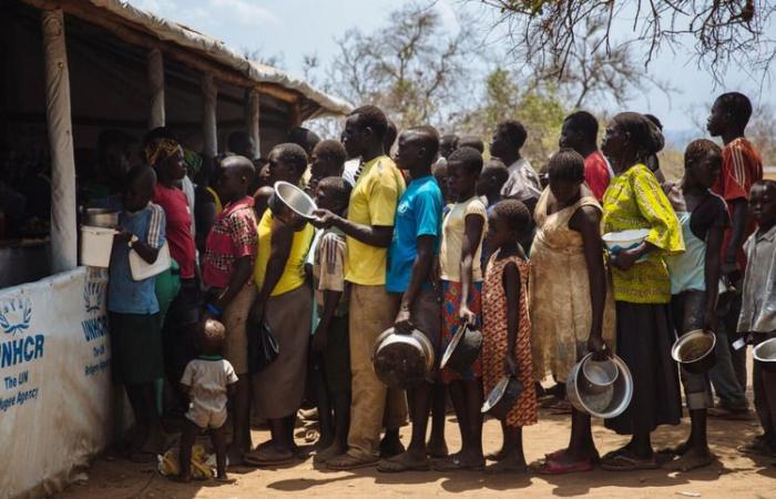 South Sudan threatened with acute food insecurity in 2025